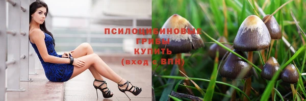 apvp Абаза