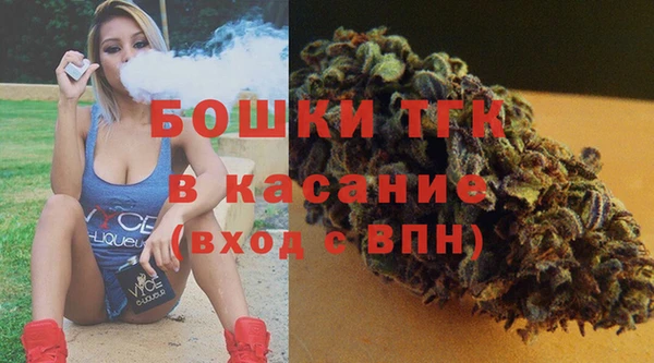 мдпв Пересвет