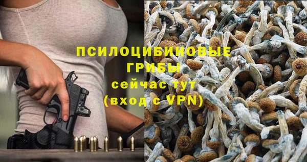 мескалин Пестово
