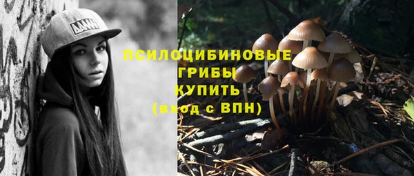 мдпв Пересвет