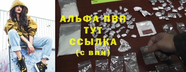 мдпв Пересвет