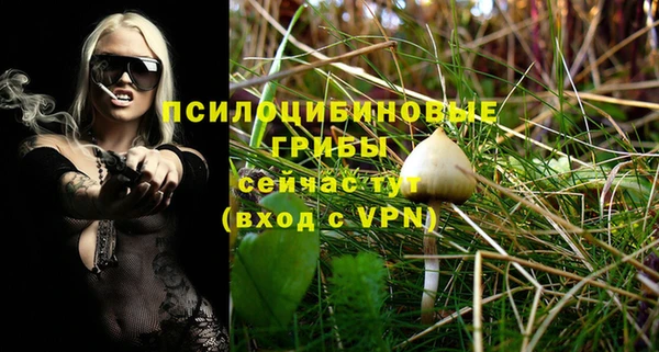 мдпв Пересвет